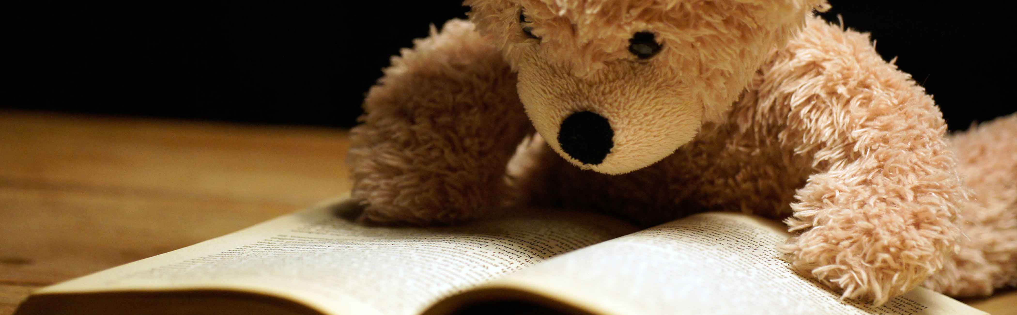 A teddy bear studying a book for networking tips.