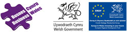 Business Wales Mentor logo